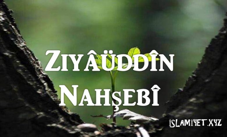 Ziyâüddîn Nahşebî