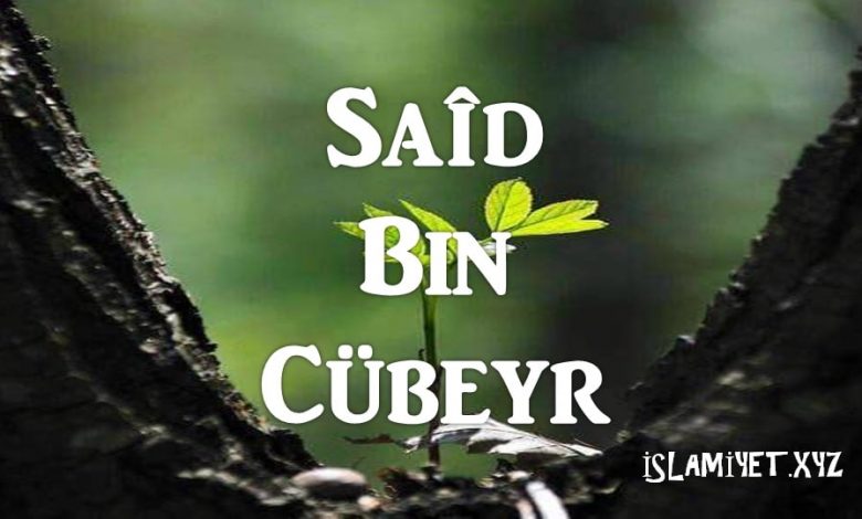 Saîd Bin Cübeyr