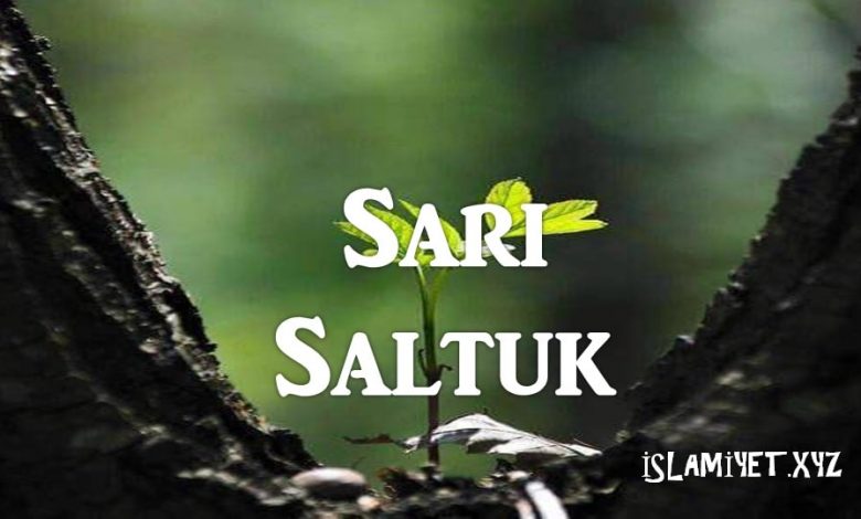 Sarı Saltuk