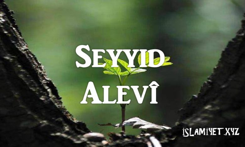 Seyyid Alevî