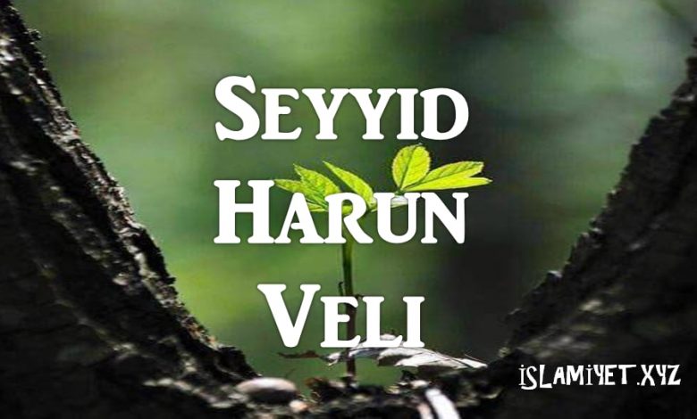 Seyyid Harun Veli