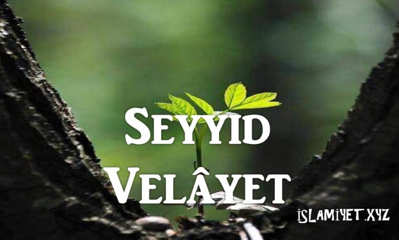 Seyyid Velâyet