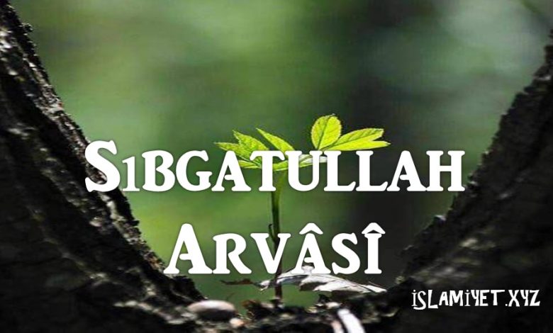 Sıbgatullah Arvâsî