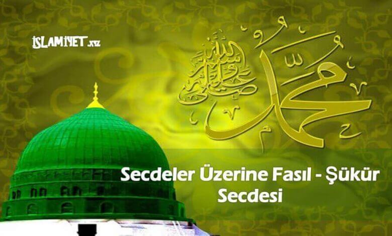 Secdeler Üzerine Fasıl - Şükür Secdesi