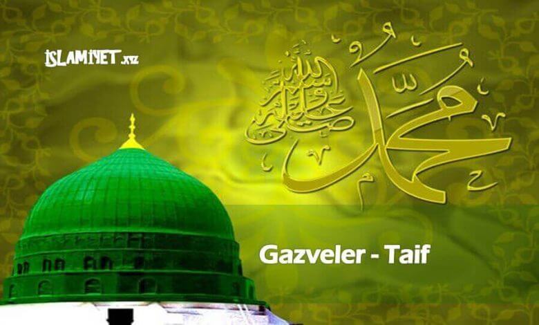 Gazveler - Taif