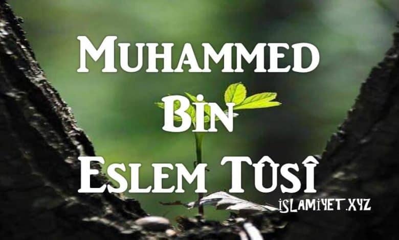 Muhammed Bin Eslem Tûsî