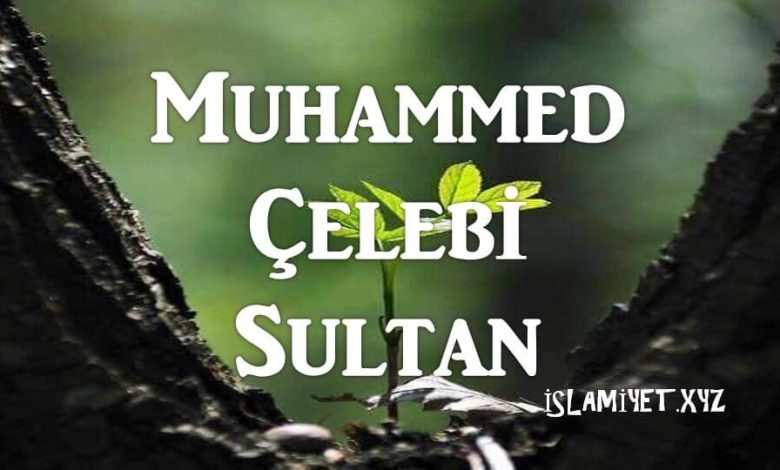 Muhammed Çelebi SultanMuhammed Çelebi Sultan